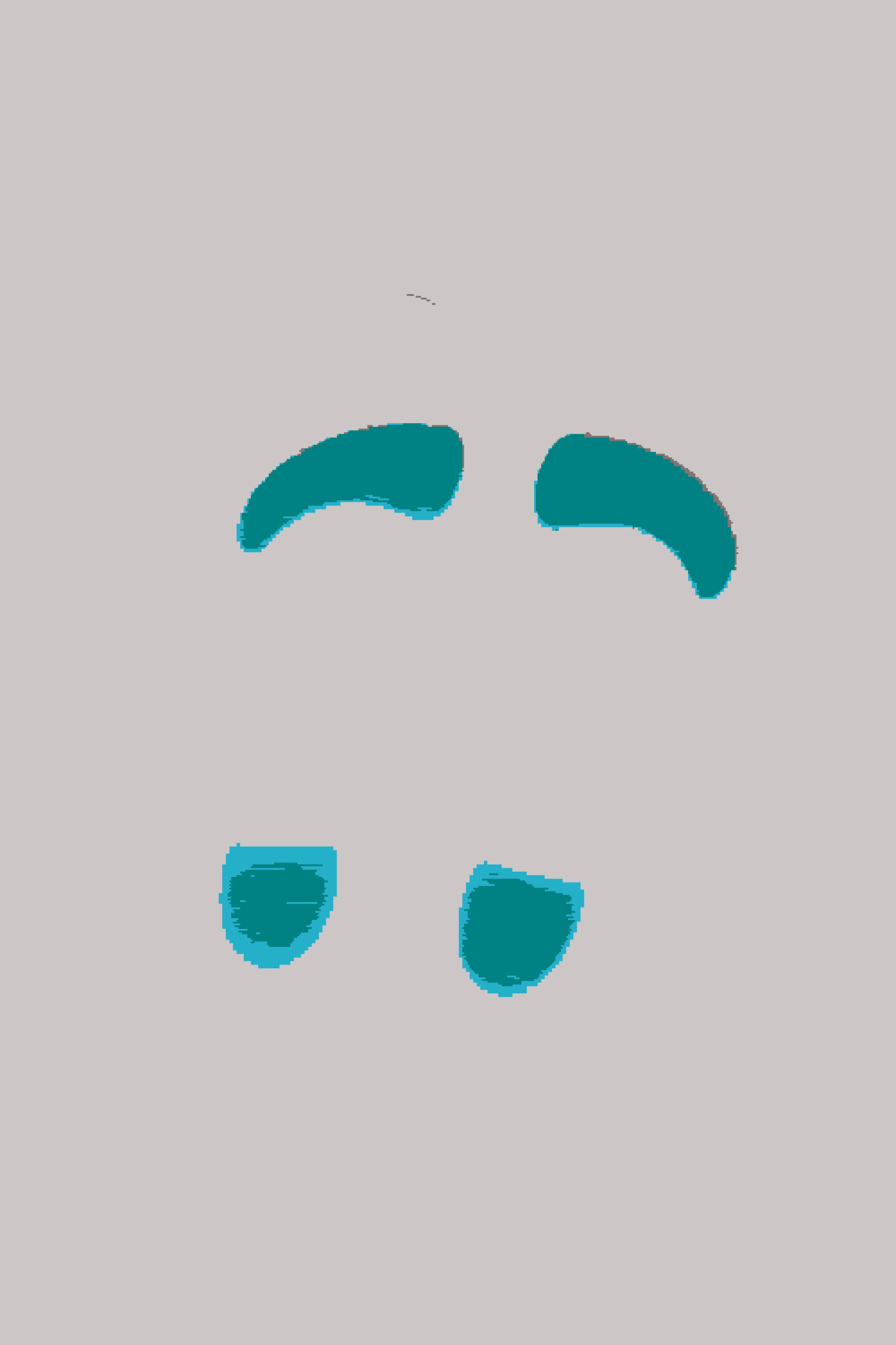 Insole with arc Support