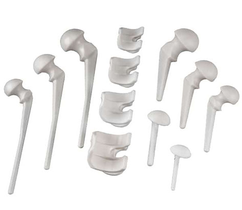 InterSpace Trust the Science