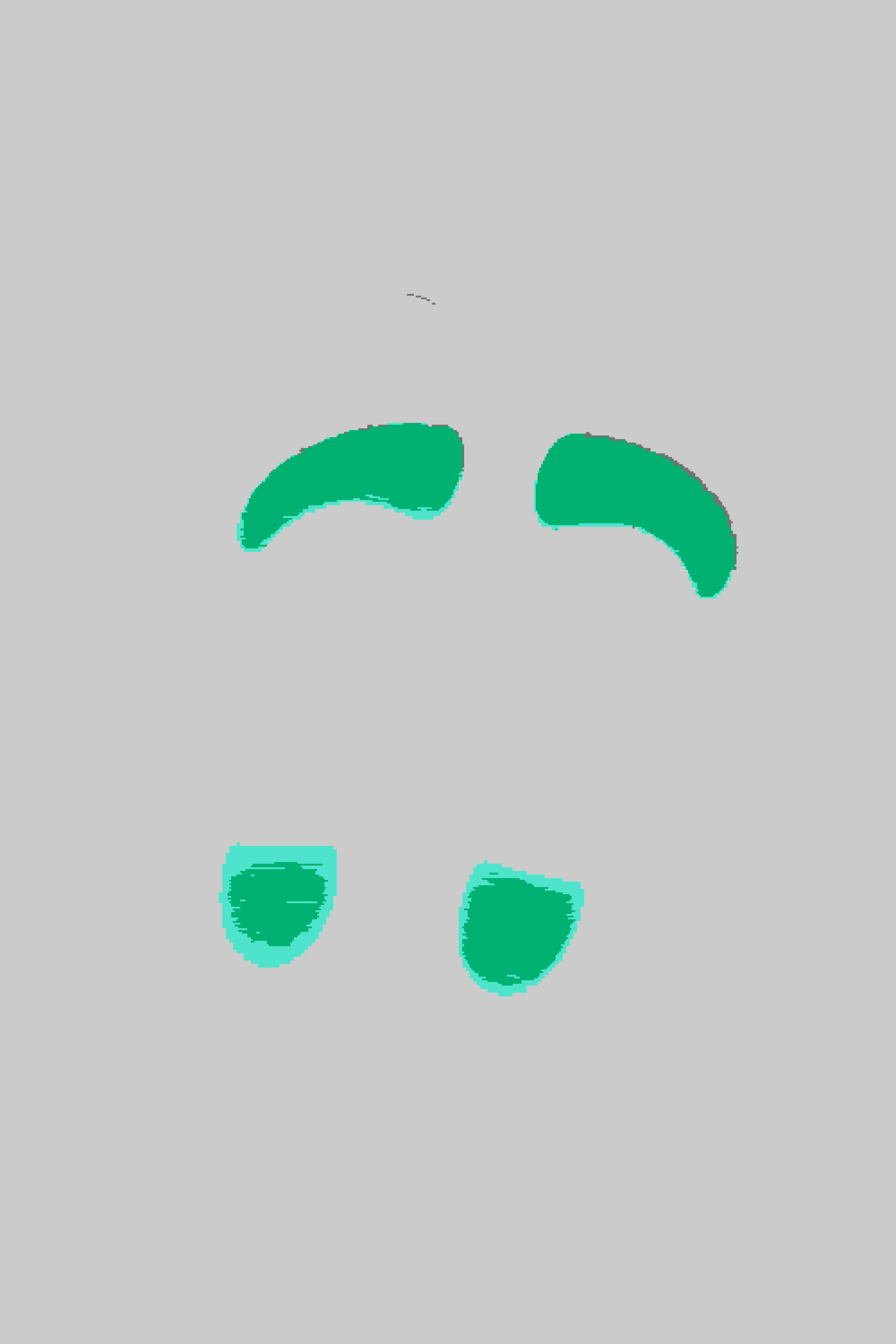 Insole with arc Support